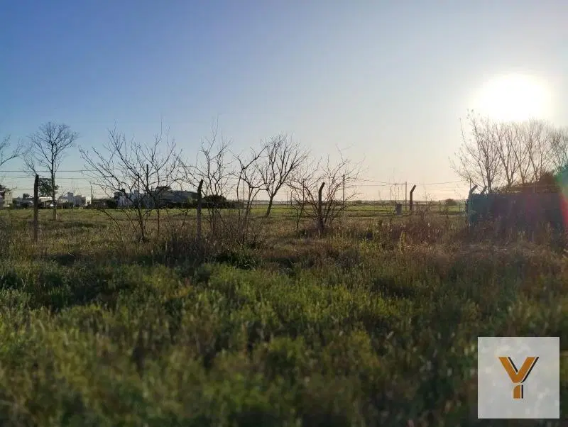 Terreno en venta - 250 mts2 - Chascomus 3