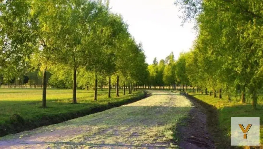 Terreno en venta - 1000mts2 - Posadas de los Lagos 2