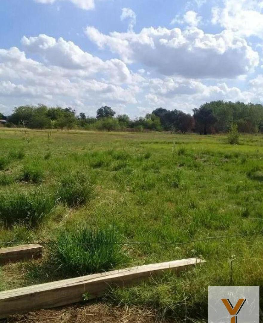Terreno venta 10.000 mts 2 totales - Abasto