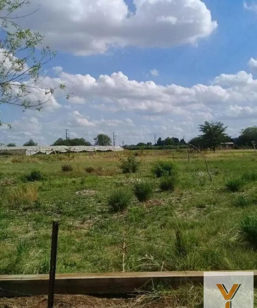 Terreno venta 10.000 mts 2 totales  - Abasto 4