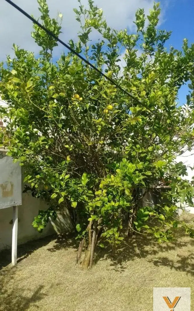 Terreno en venta - 240Mts2 - Las Toninas 2