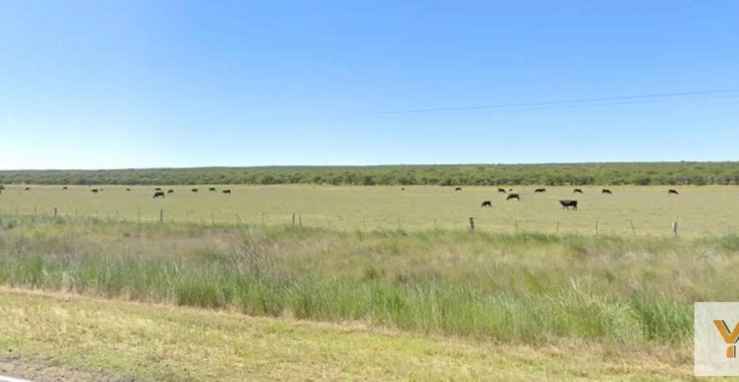 Campo en venta - 10.000.000Mts2 - General Acha 2