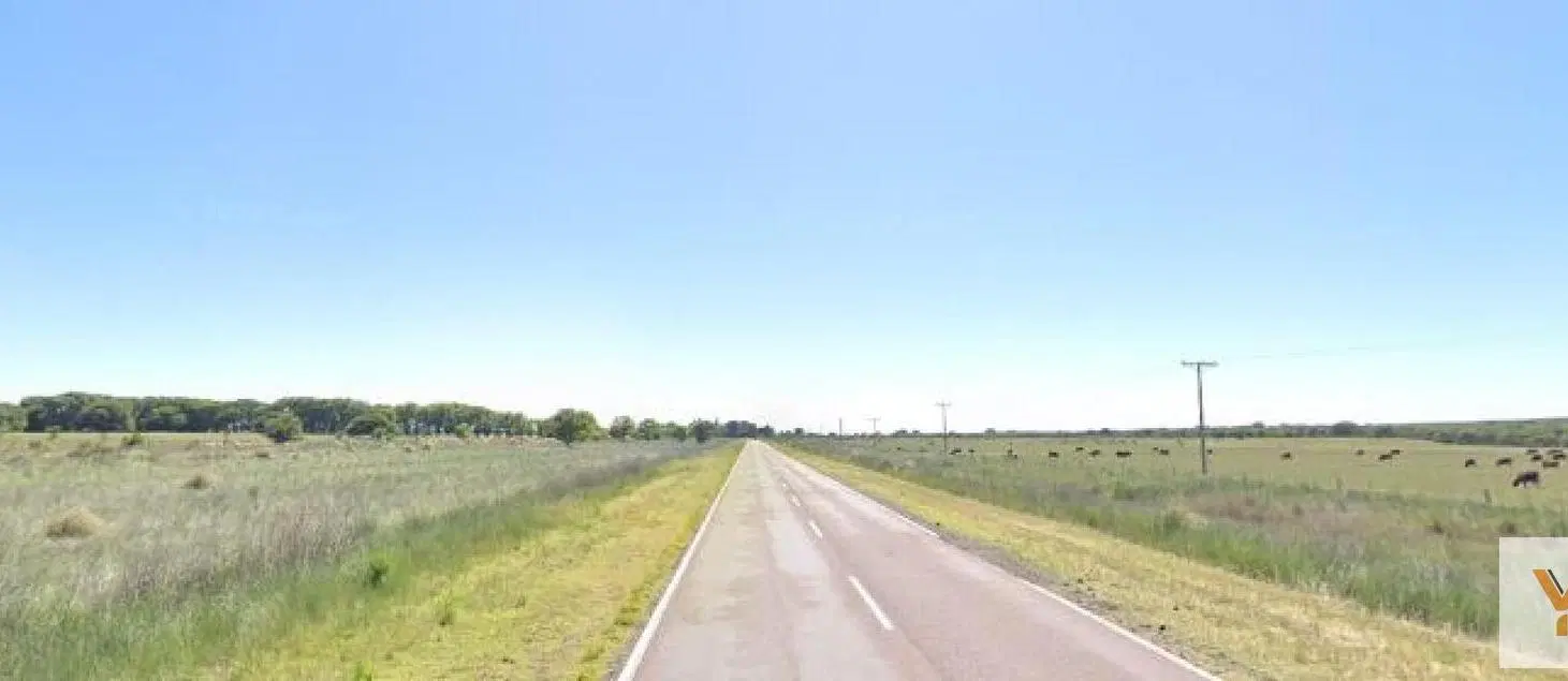 Campo en venta - 10.000.000Mts2 - General Acha 4