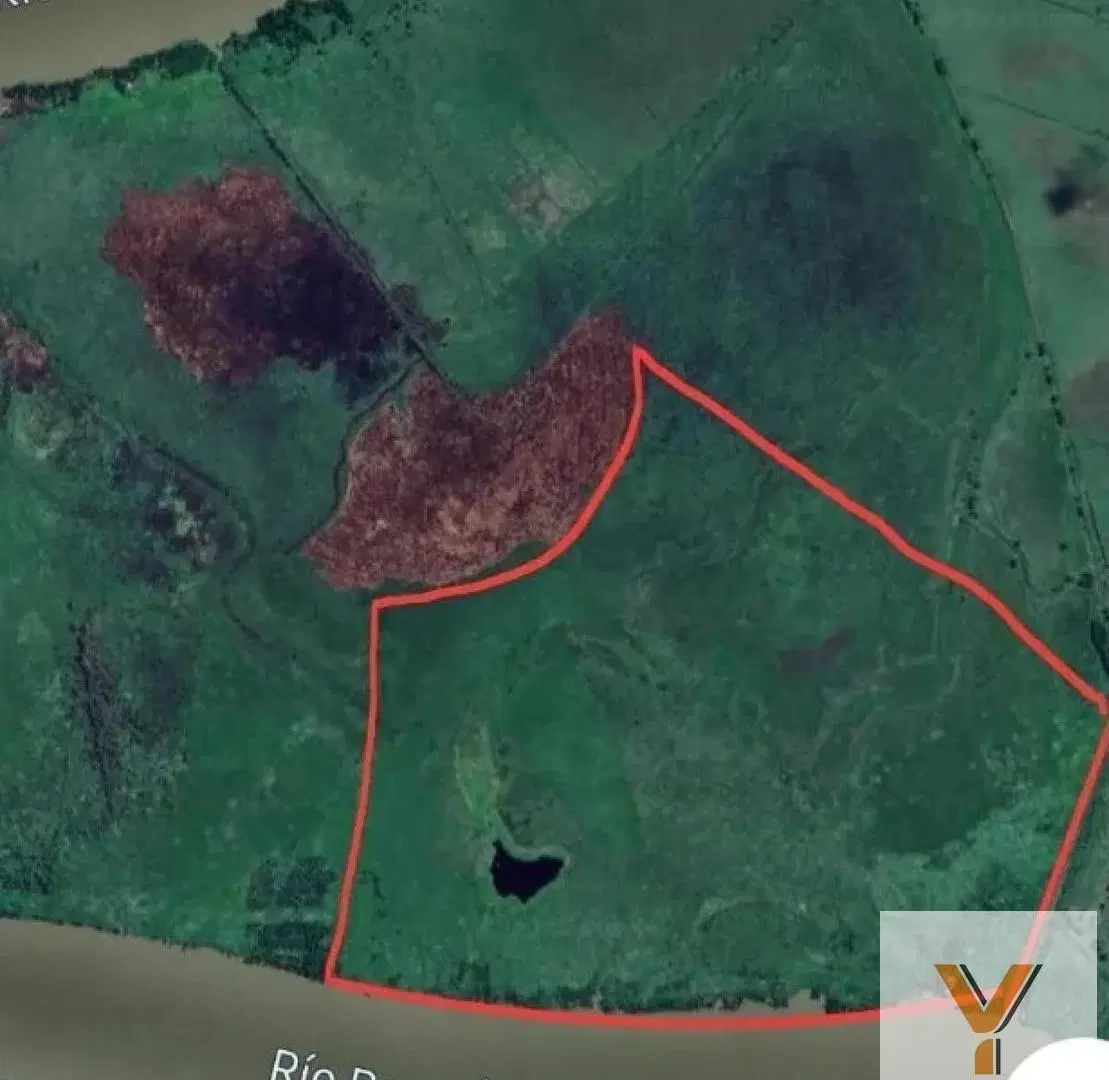 Campo en venta - 108 Hectáreas - Isla de Zárate 3