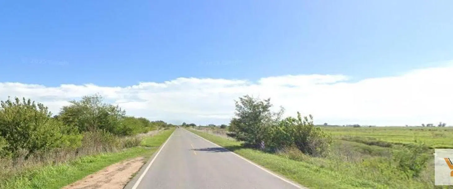 Campo en venta - 173 Hectáreas - Gonzalez Risos 4