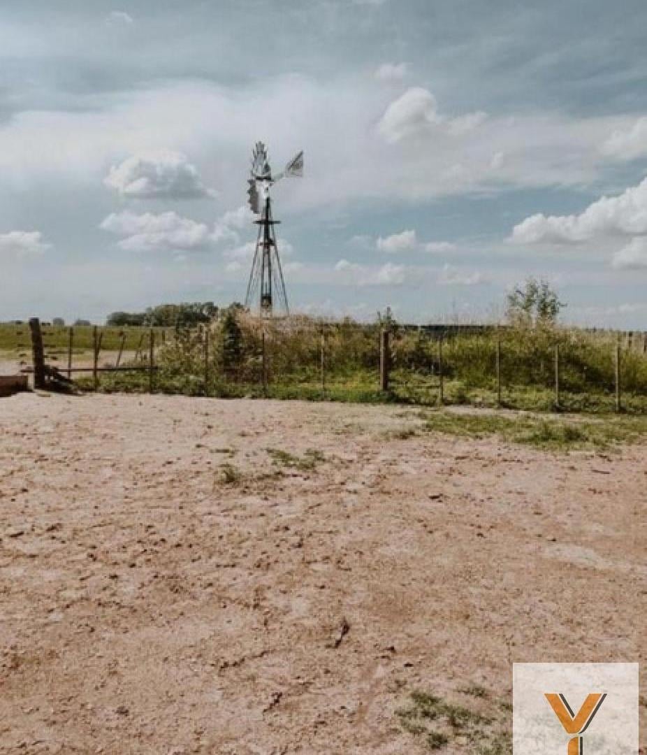 Campo en venta - 173 Hectáreas - Gonzalez Risos
