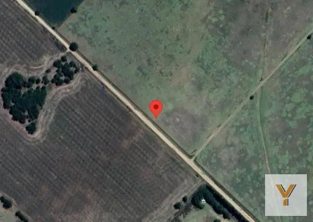 Campo en venta - 173 Hectáreas - Gonzalez Risos 3