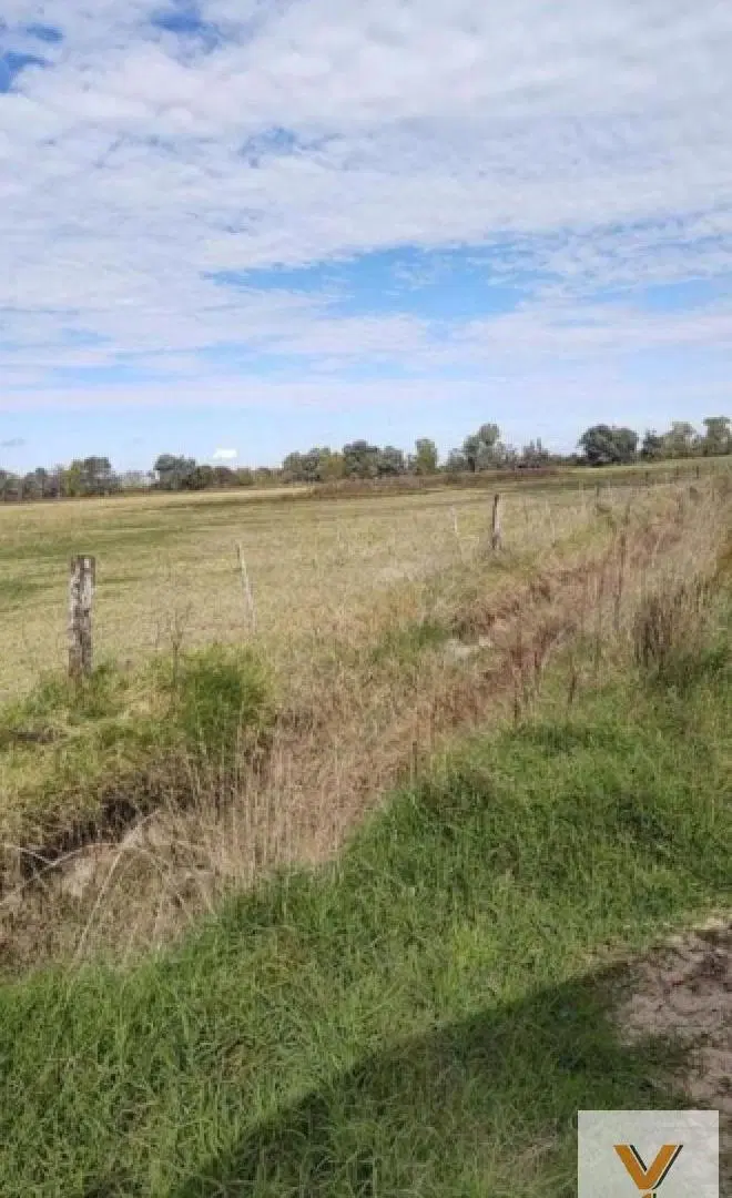 Campo en venta - 173 Hectáreas - Gonzalez Risos 2