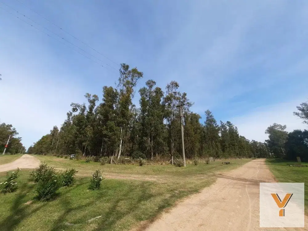 Terreno en venta - 10.000Mts2 - El Paraíso, Ramallo 1