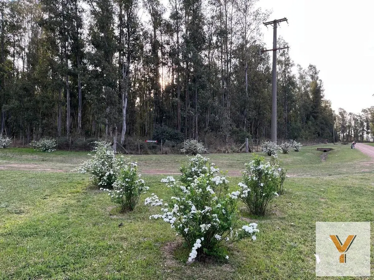 Terreno en venta - 10.000Mts2 - El Paraíso, Ramallo 2