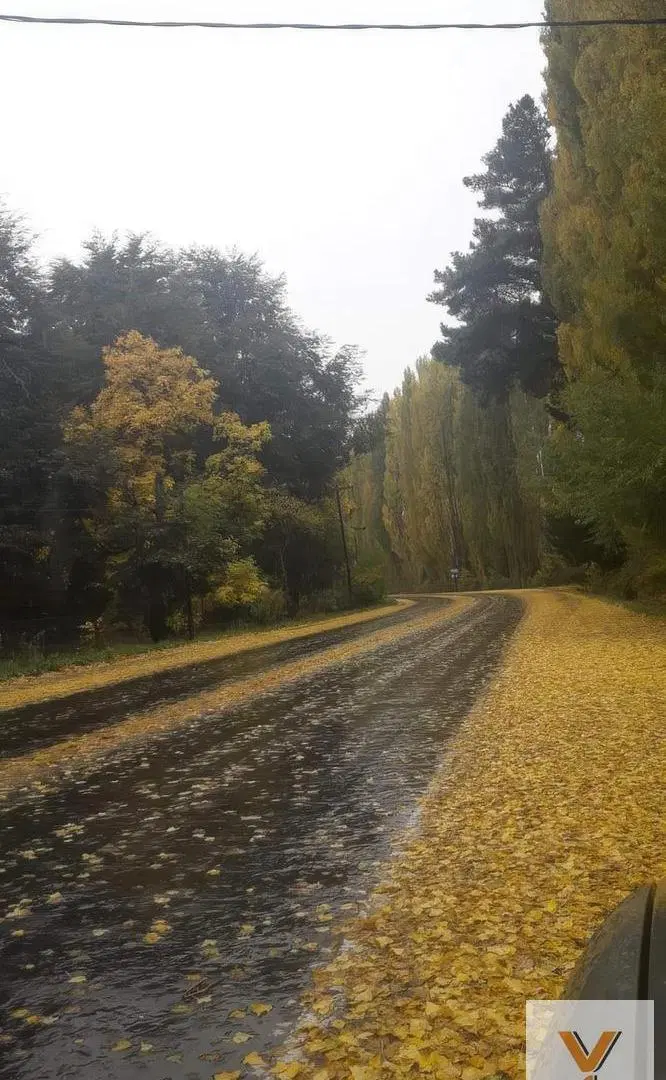 Terreno en venta - 1000Mts2 - Lago Puelo, Chubut 3