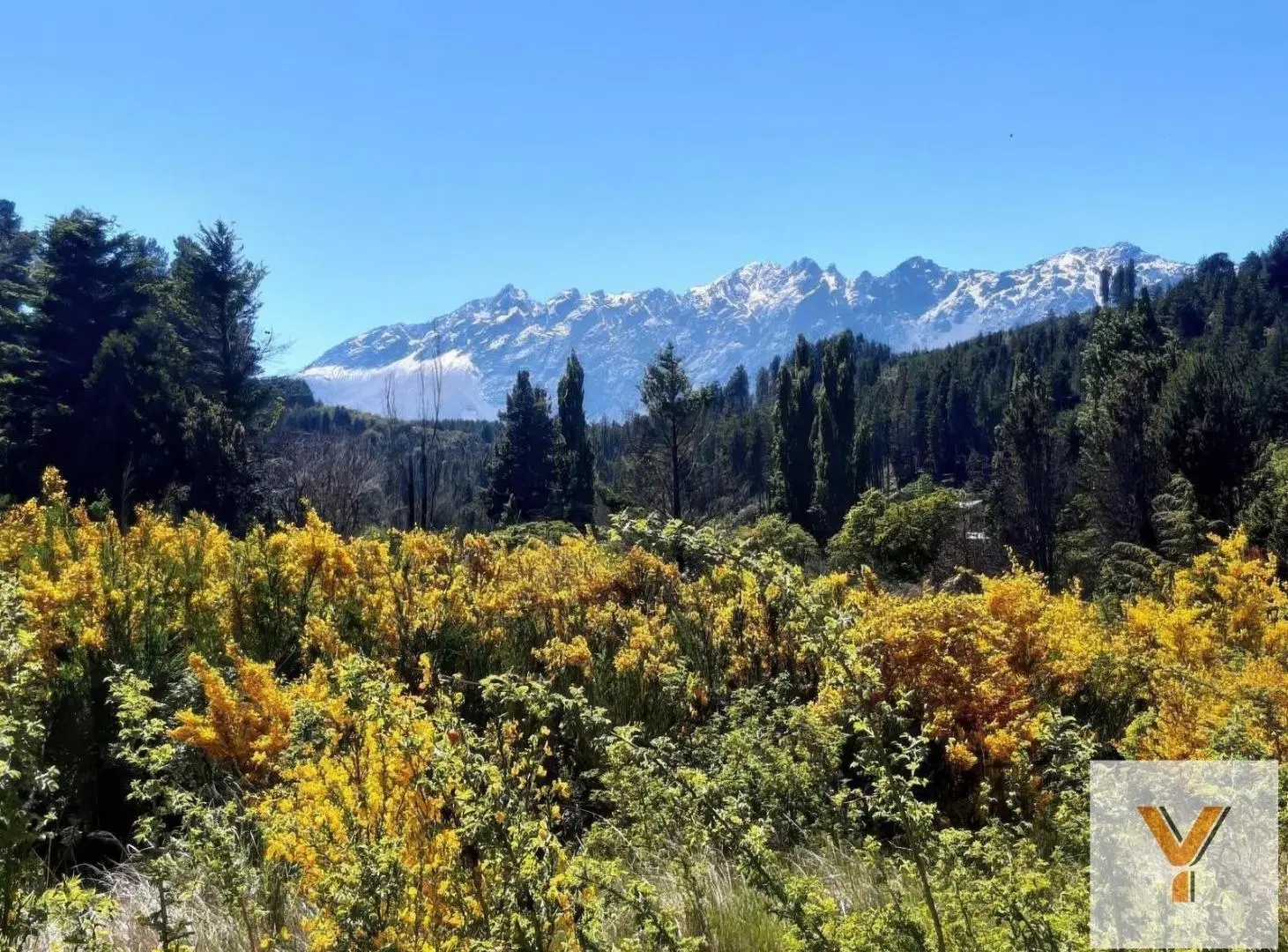 Terreno en venta - 1000Mts2 - Lago Puelo, Chubut 8