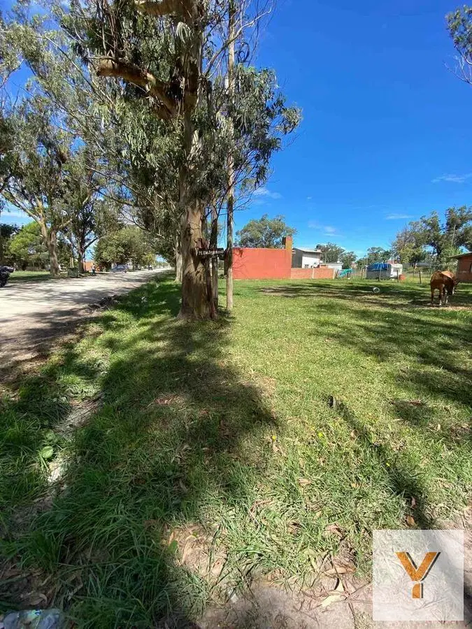 Terreno en venta - 539mts2 - Balneario Camet Norte, Mar Chiquita 5