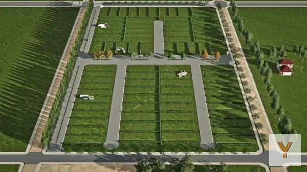 Plano 2
