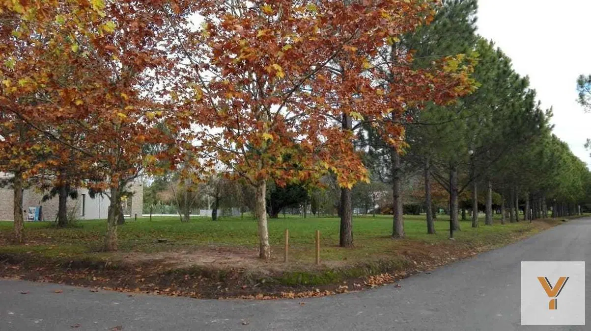 Terreno en venta - 1200 mts2 - Club Miralagos [FINANCIADO] 5