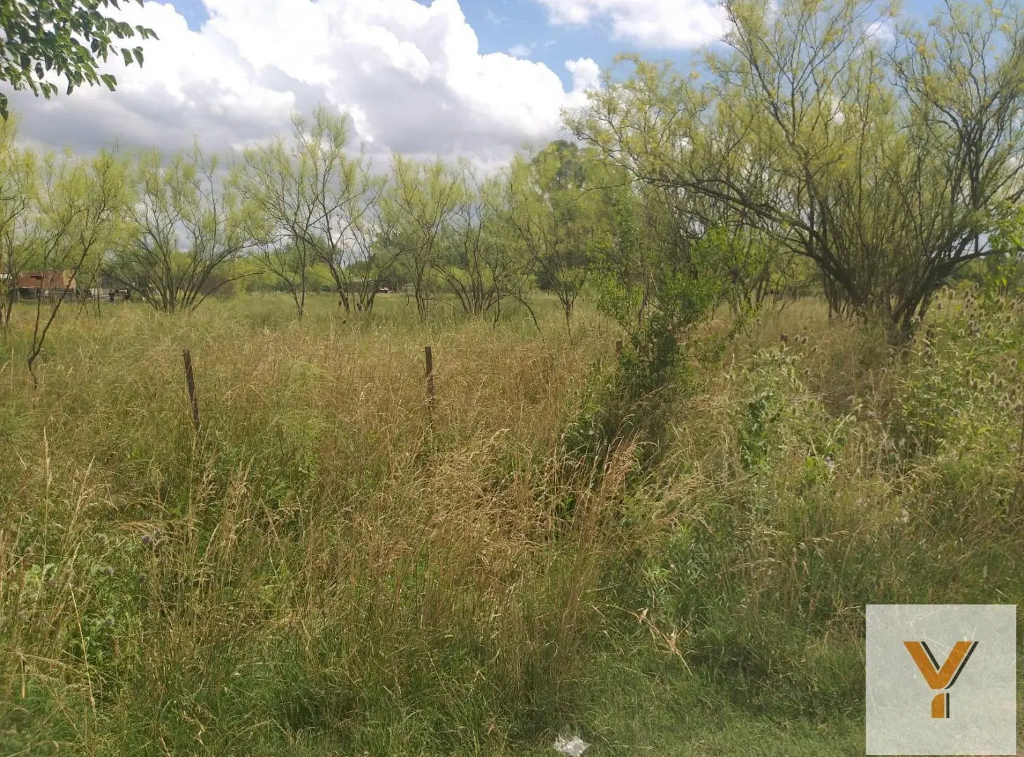 Terreno en venta - 1450Mts2 - Carmen de Areco 5