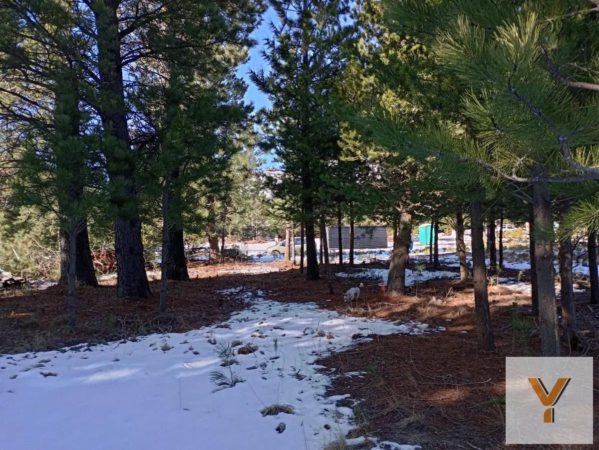 Terreno en venta - 1.020Mts2 - Villa Lago Gutiérrez, San Carlos de Bariloche 4