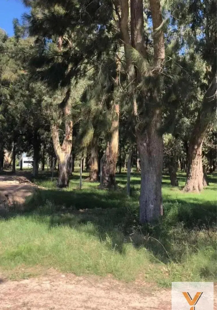Campo en venta - 12.222Mts2 - Villa Elvira, La Plata 3