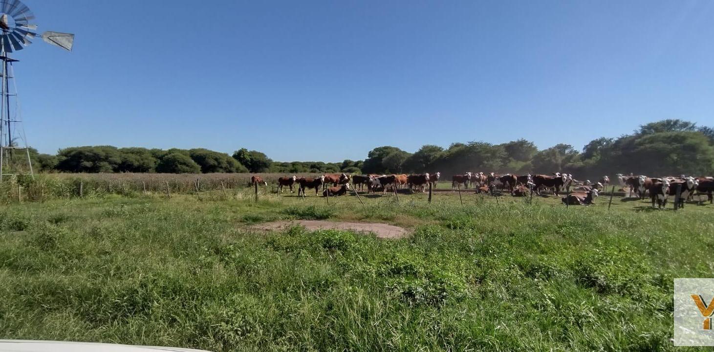 Campo en venta - 6.056 Hectáreas - San Justo