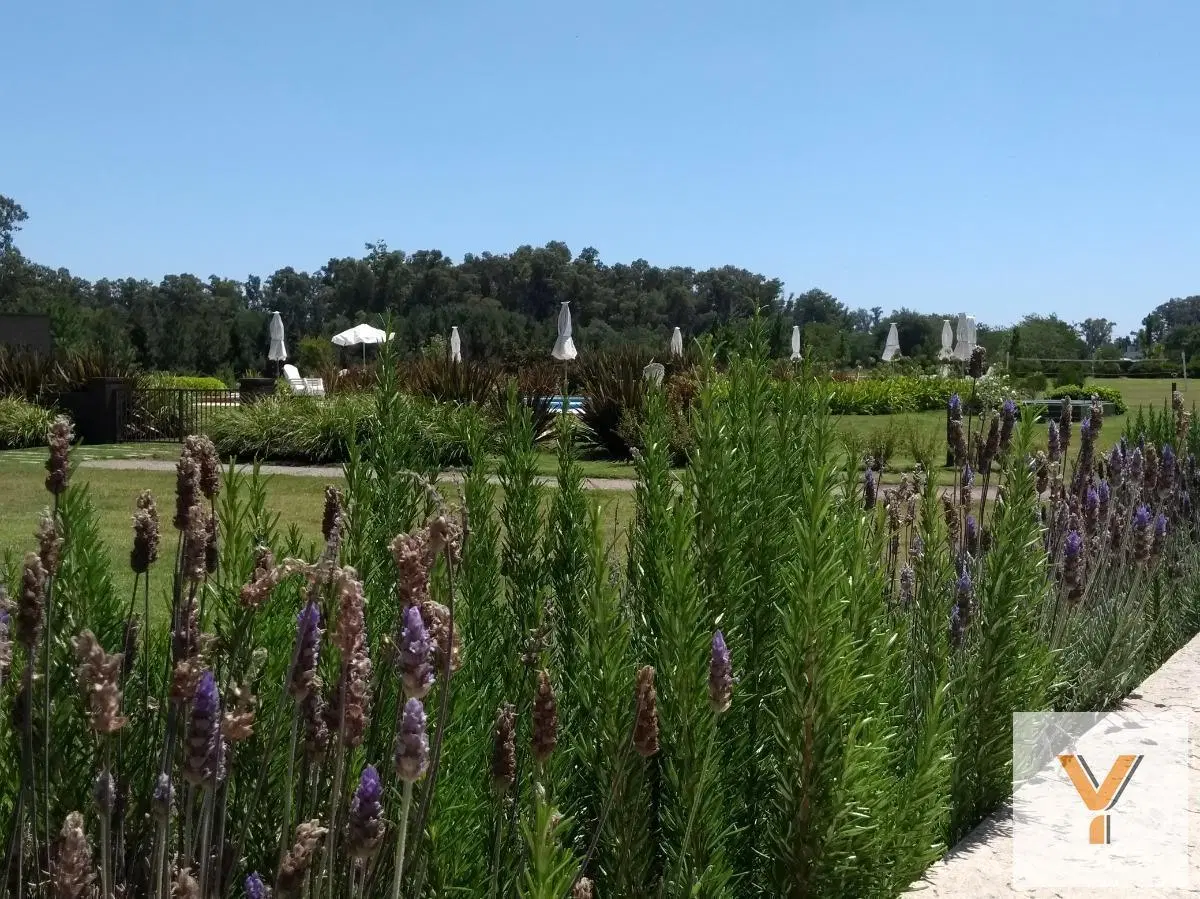 Terreno en venta - 2.258mts2 - Campos de Roca II, Coronel Brandsen 3