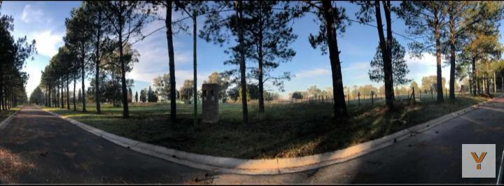 Terreno en venta - 375mts2 - Zelaya