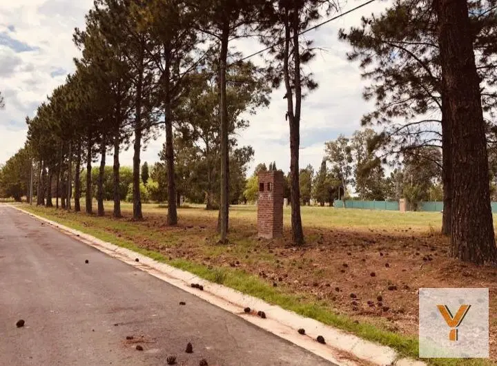 Terreno en venta - 375mts2 - Zelaya 4