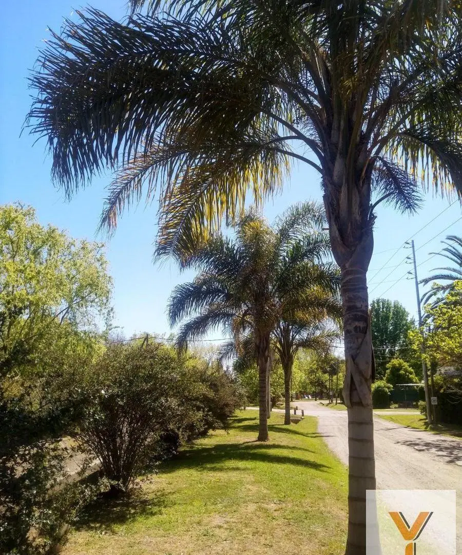 Casa en Venta - 3 Dormitorios 2 Baños - 700mts - Berazategui 4