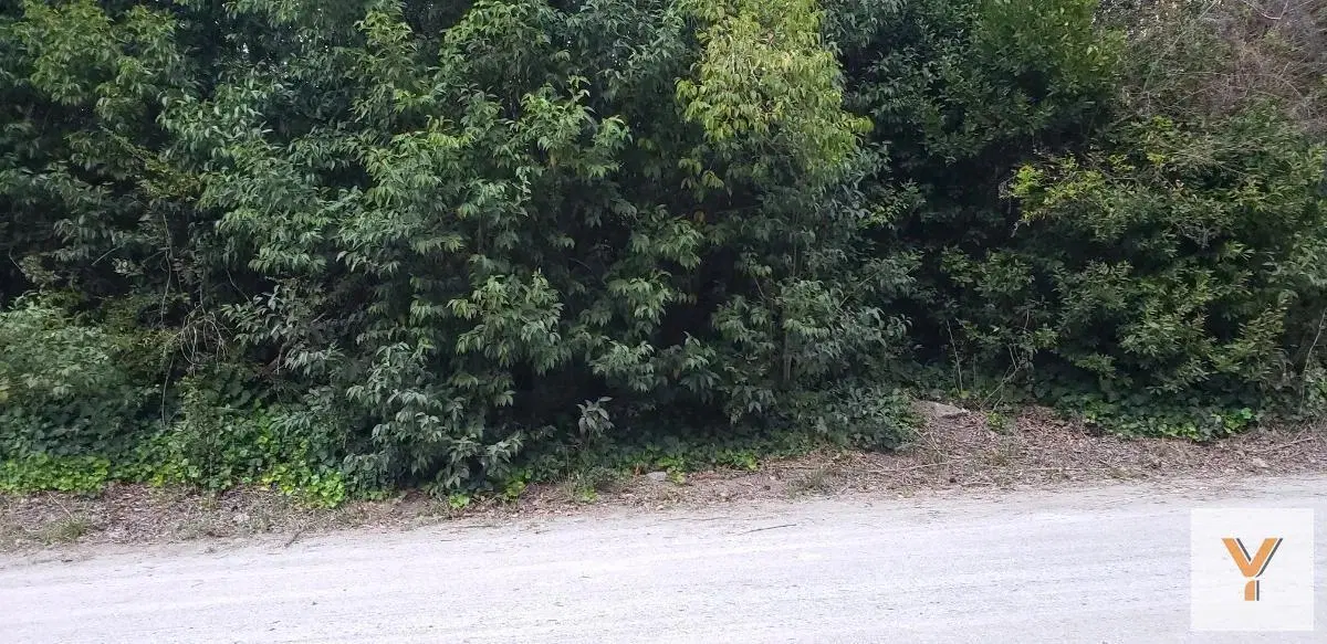 Terreno en venta - 2.880Mts2 - Punta Indio 5