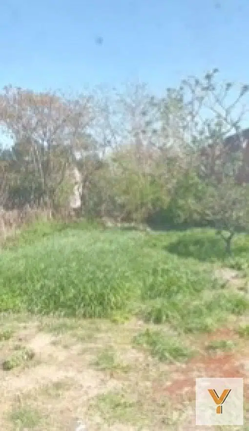 Local en venta - 3 Ambientes - Capitán Sarmiento 8