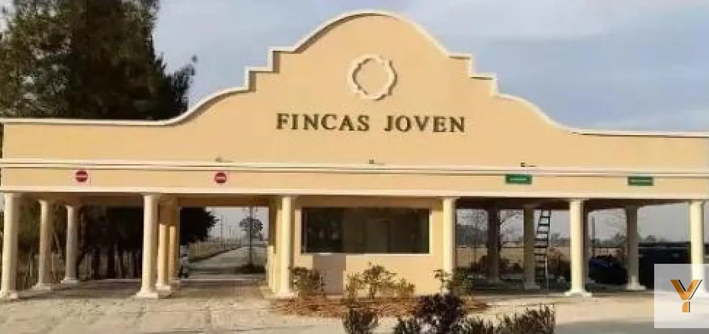 Terreno en venta - 650Mts2 - Finca Joven 3