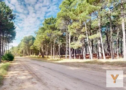 Terreno en venta - 1000mts2 - Villa Robles, Pinamar 3