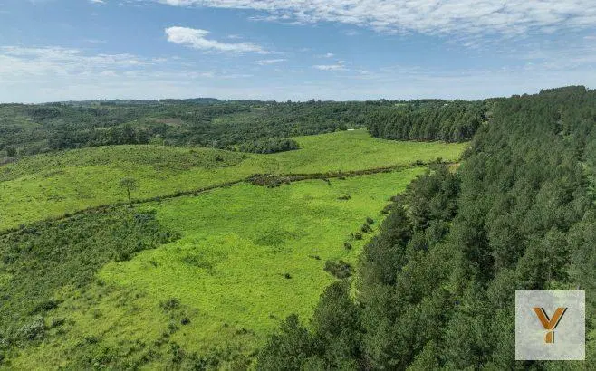 Campo en Venta - 7760000mts - Misiones 5