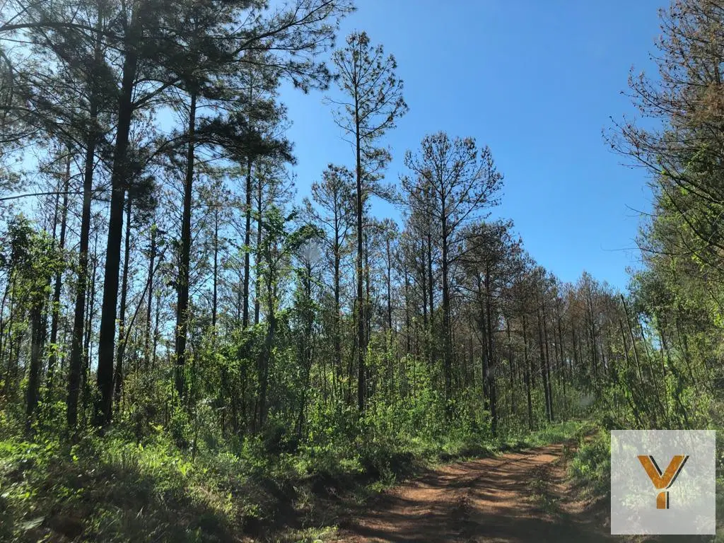 Campo en Venta - 7760000mts - Misiones 2