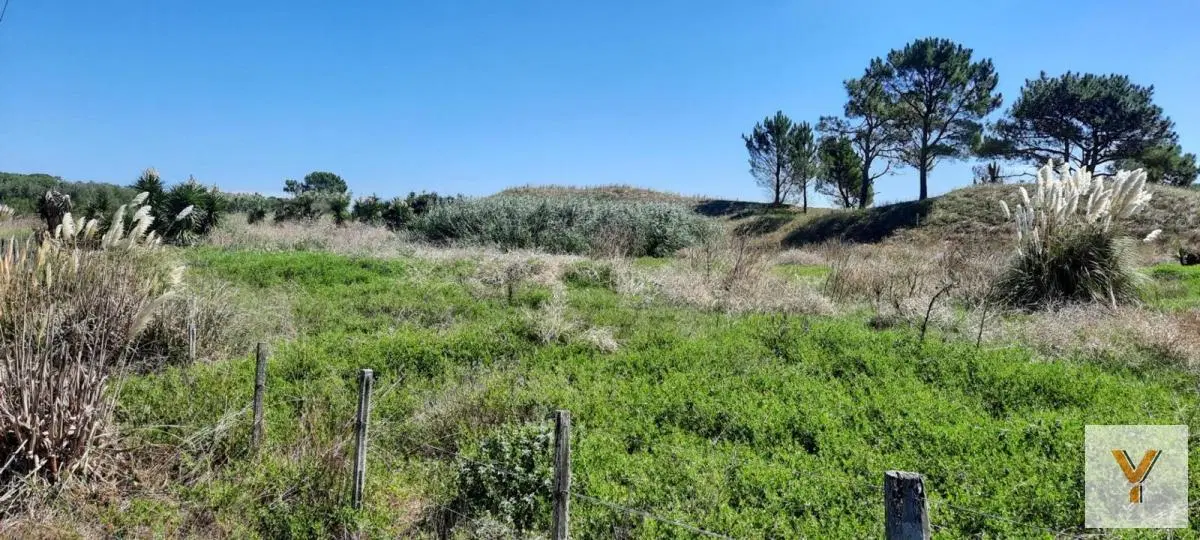 Campo en venta - 44.800Mts2 - General Juan Madariaga 5