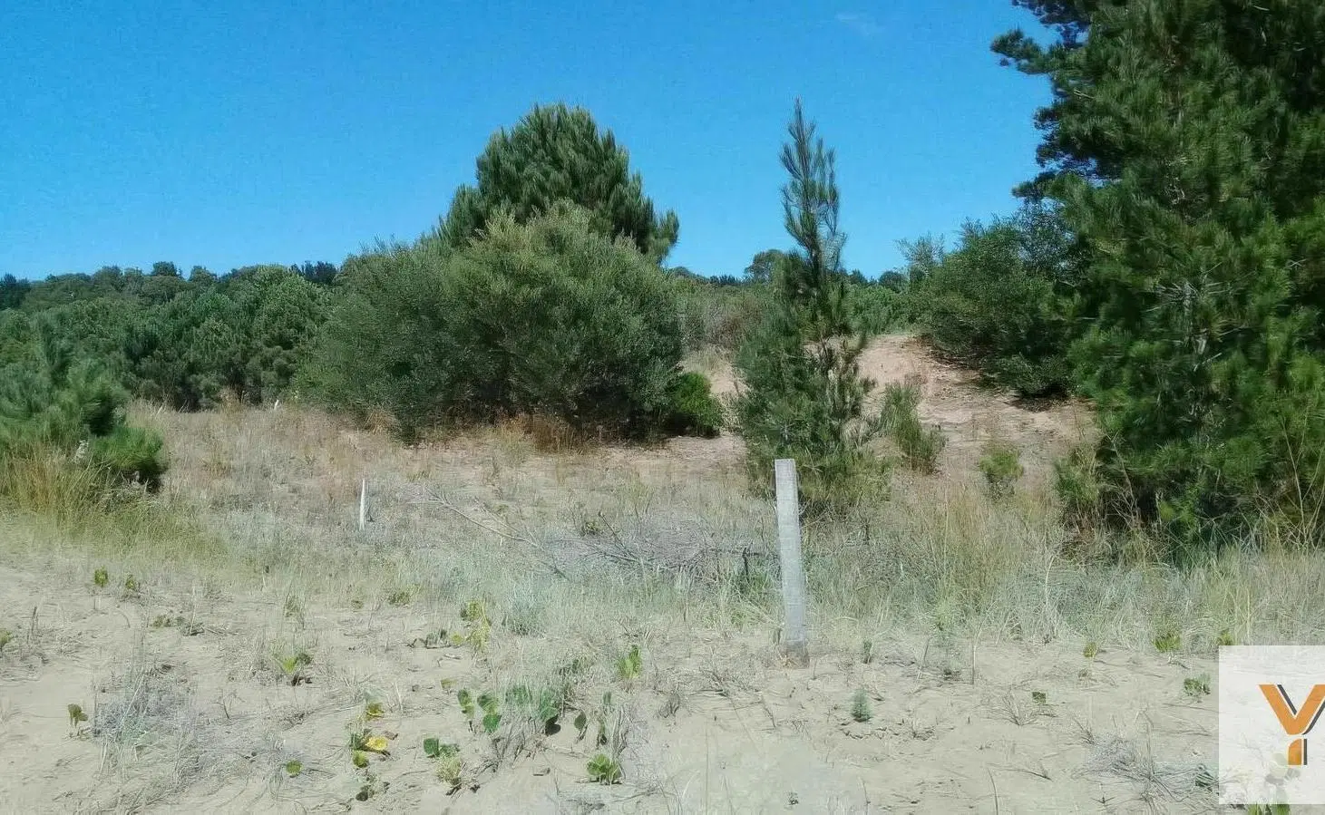 Terreno en venta - 1100Mts2 - Barrio Costa Esmeralda 2