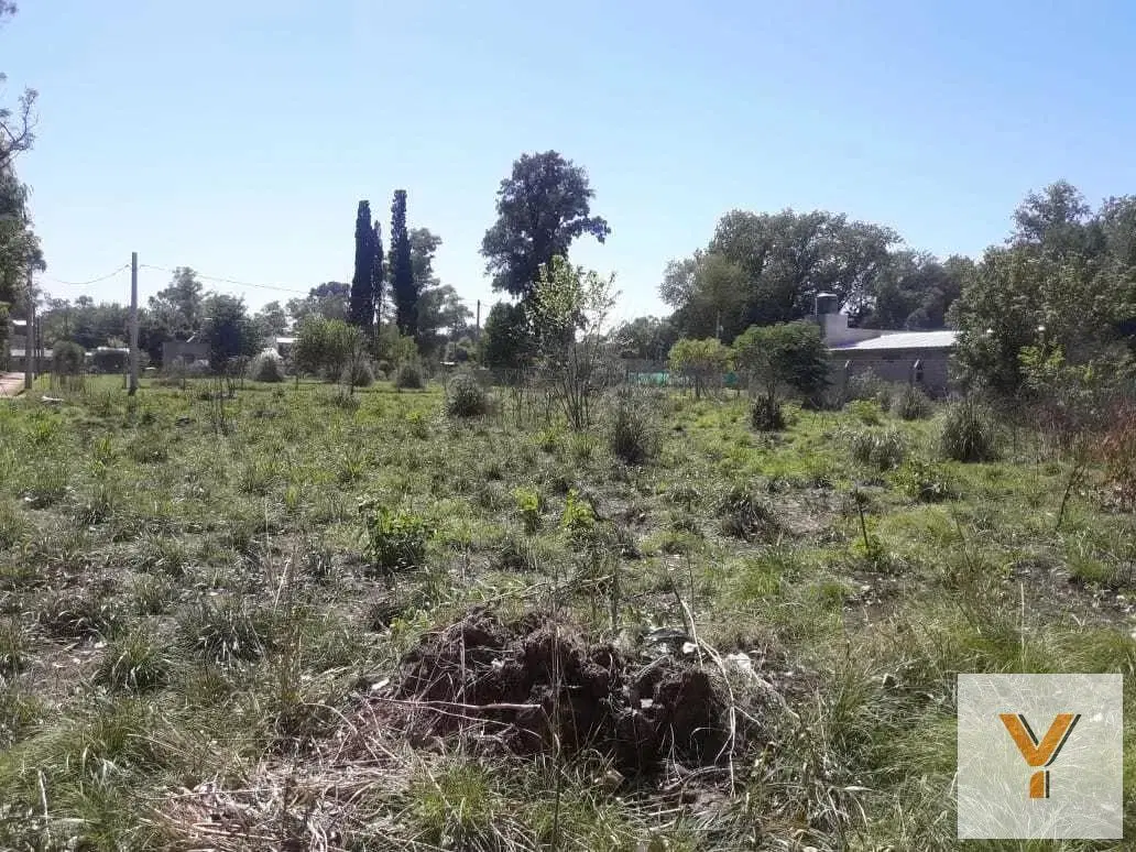 Terreno en venta - 1536Mts2 - Francisco Alvarez 2