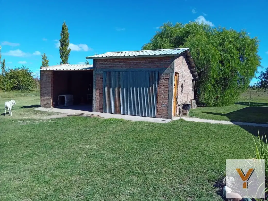 Finca en venta - 4 Dormitorios 2 Baños - Mendoza 4