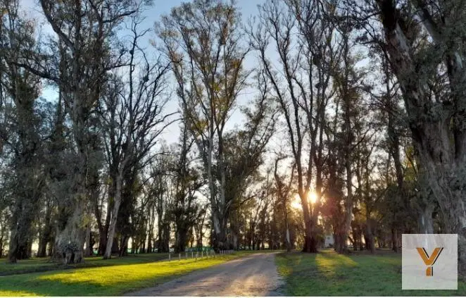 Terreno en venta - 2.000mts2 - Santa Inés, Luján 2