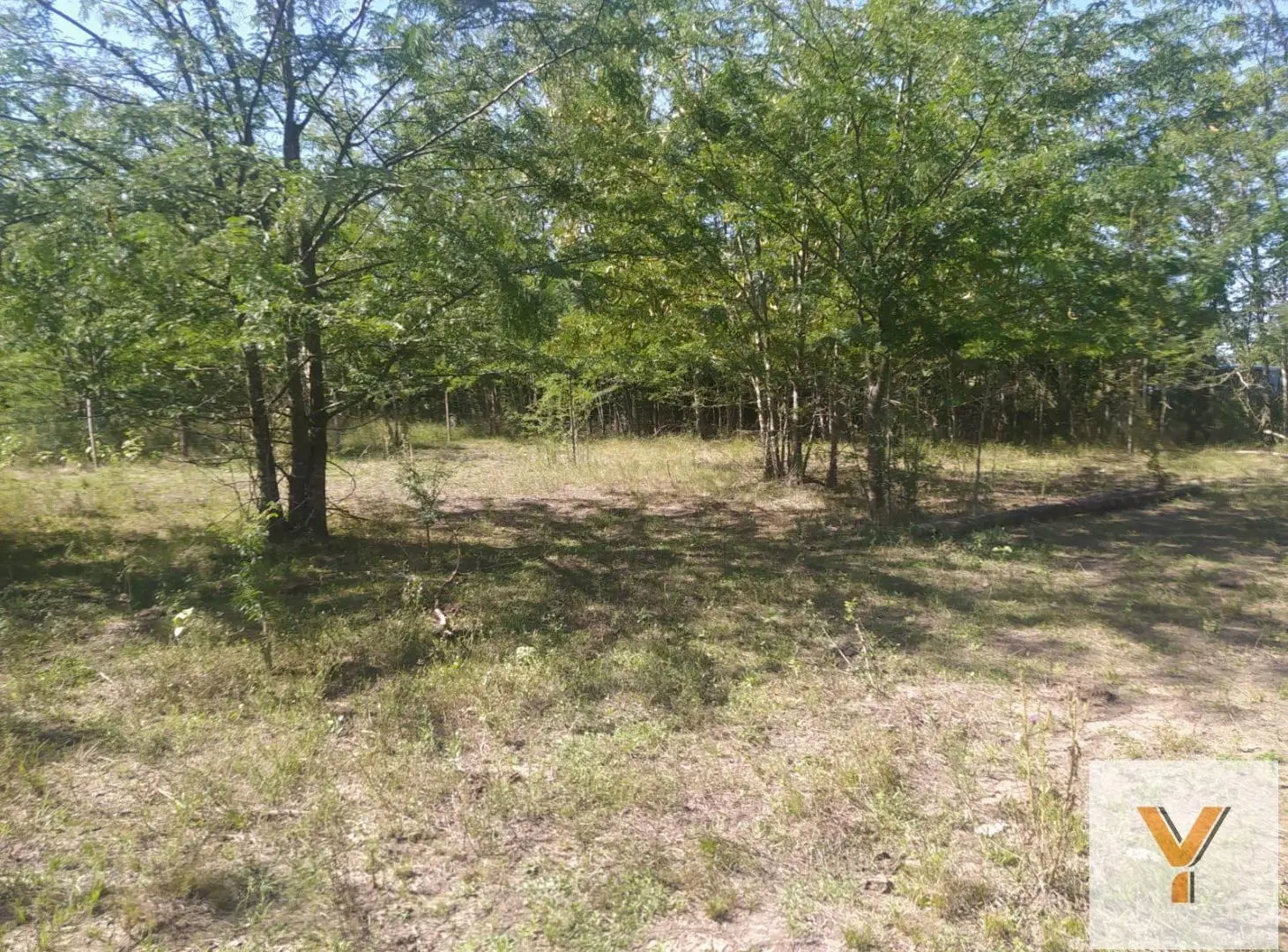 Terreno en venta - 5.000Mts2 - El Remanso, Exaltación de La Cruz 3