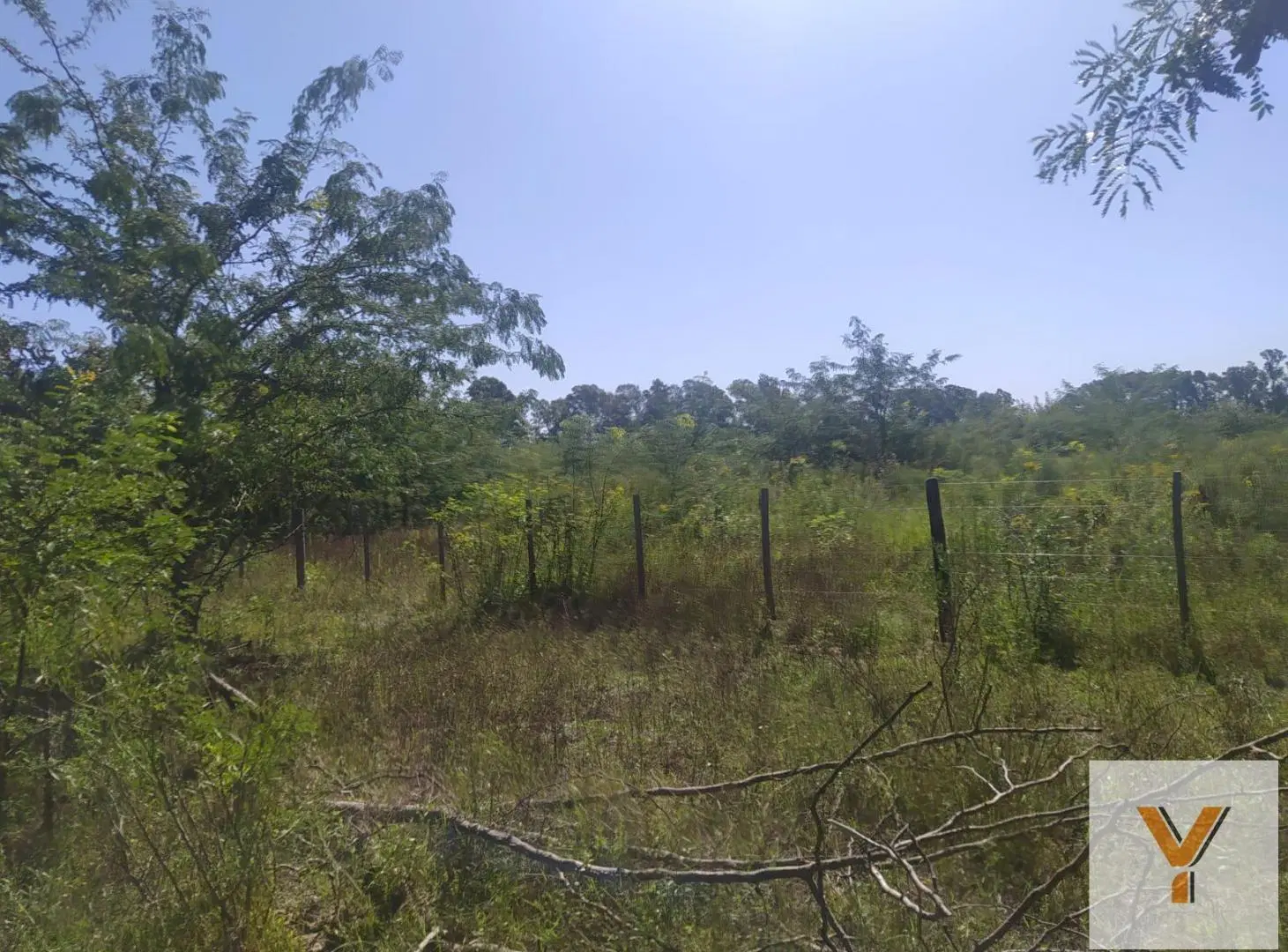 Terreno en venta - 5.000Mts2 - El Remanso, Exaltación de La Cruz 2