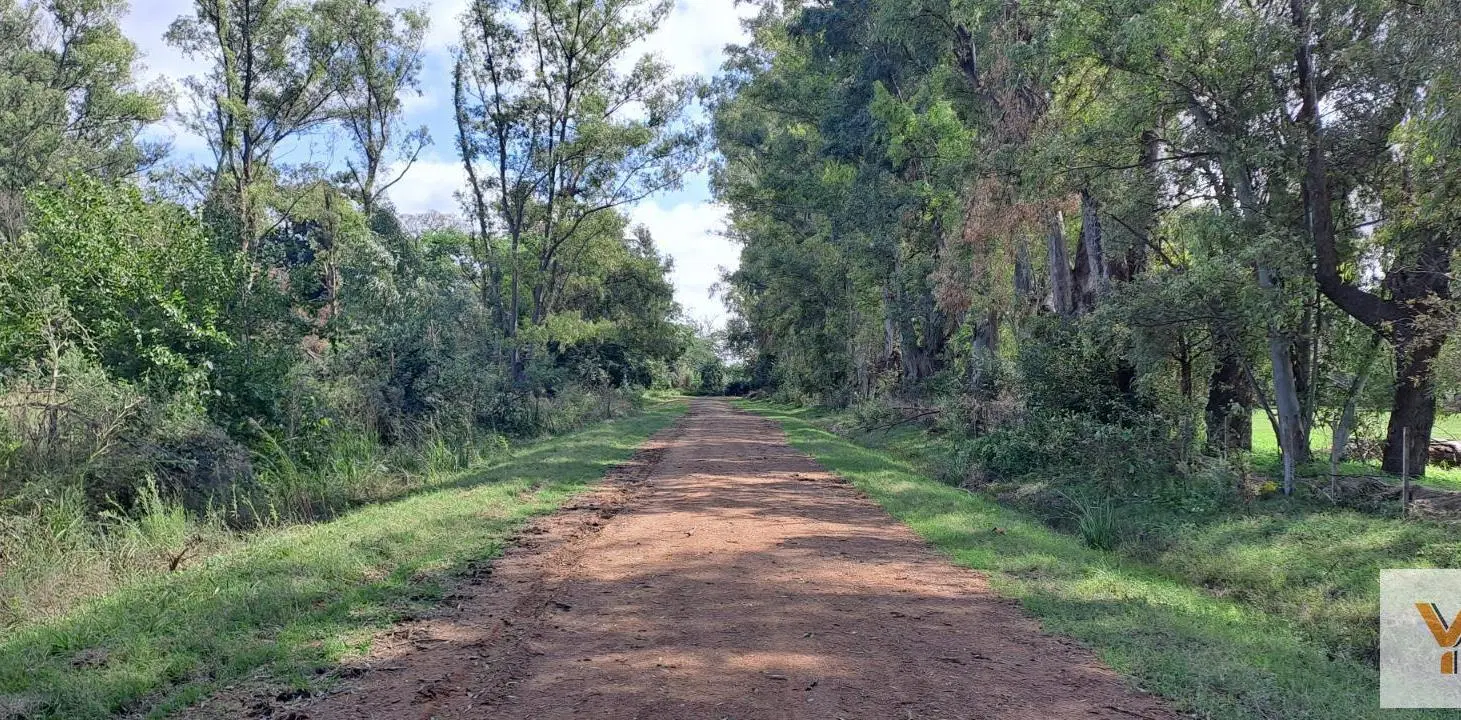 Terreno en venta - 5.000Mts2 - El Remanso, Exaltación de La Cruz 4
