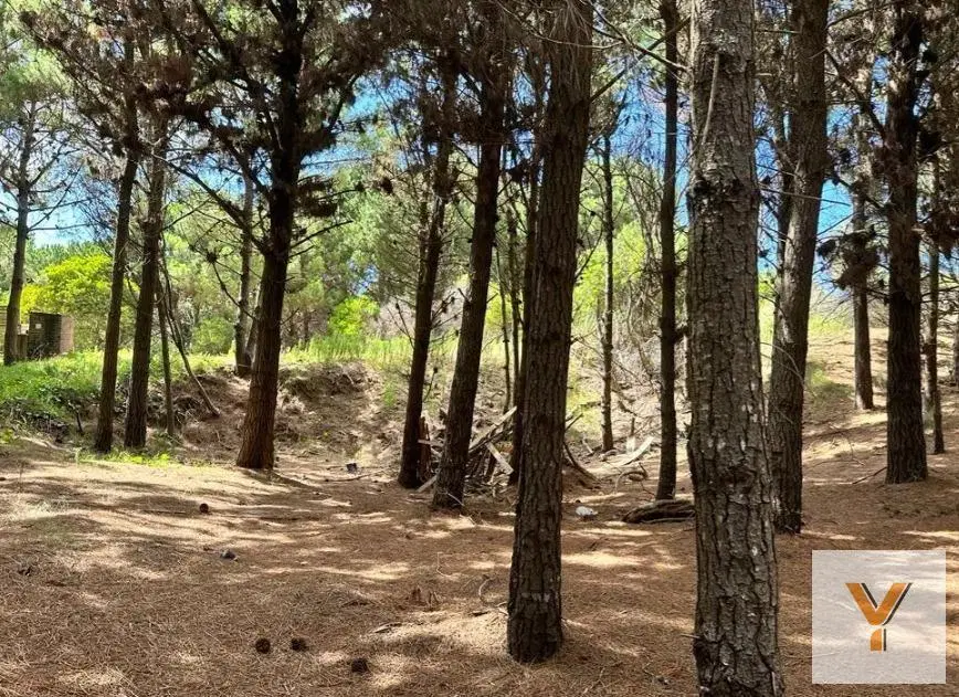 Terreno en venta - 999mts2 - Residencial II, Costa Esmeralda 3