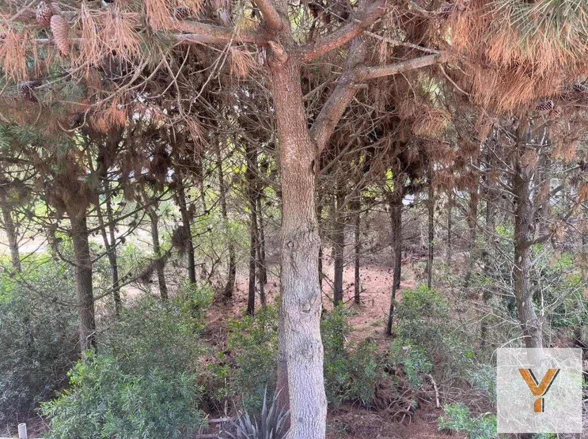 Terreno en venta - 999mts2 - Residencial II, Costa Esmeralda 2