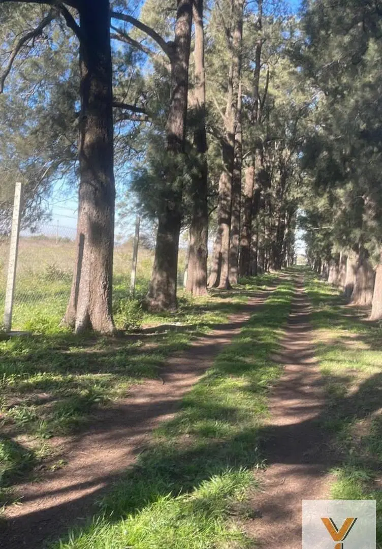 Terreno en venta - 600Mts2 - Merlo 5