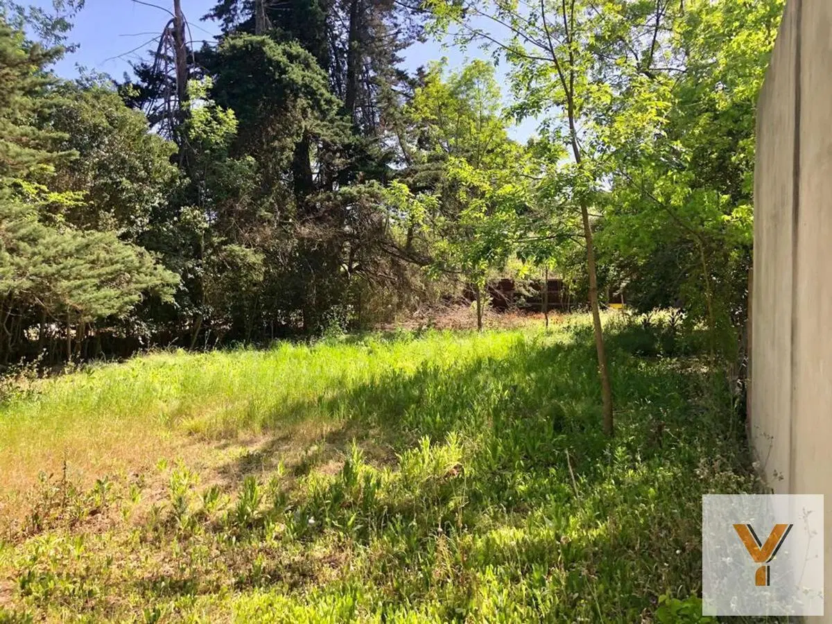 Terreno en venta - 833mts2 - Villa Elisa, La Plata 4