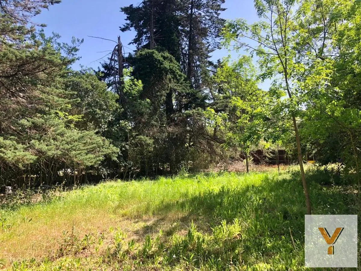 Terreno en venta - 833mts2 - Villa Elisa, La Plata 2