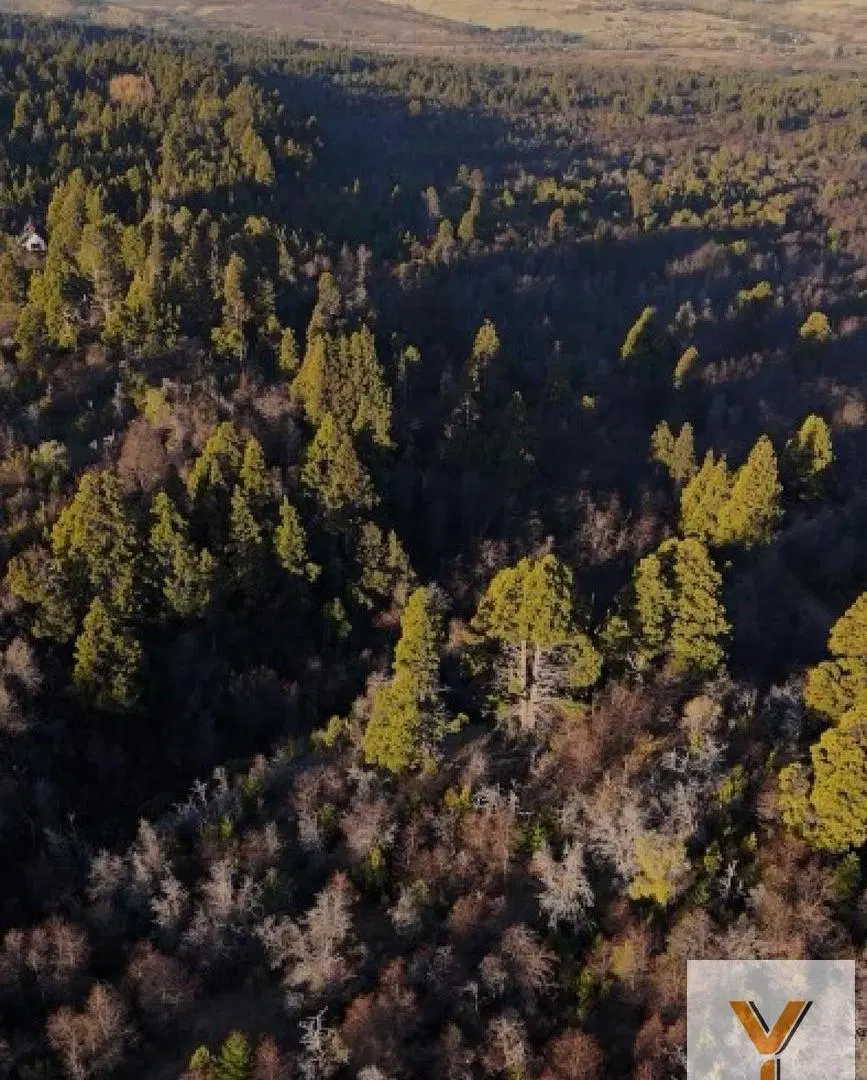Campo en venta - 20.400Mts2 - Trevelín 3