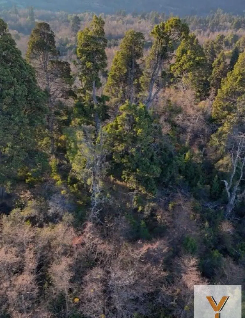 Campo en venta - 20.400Mts2 - Trevelín 5