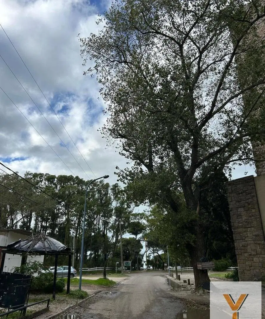 Departamento en Venta - 3 Dormitorios 2 Baños - 65mts - Mar Del Plata 3