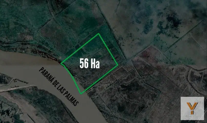 Campo en venta - 56 Ha - Zarate 5